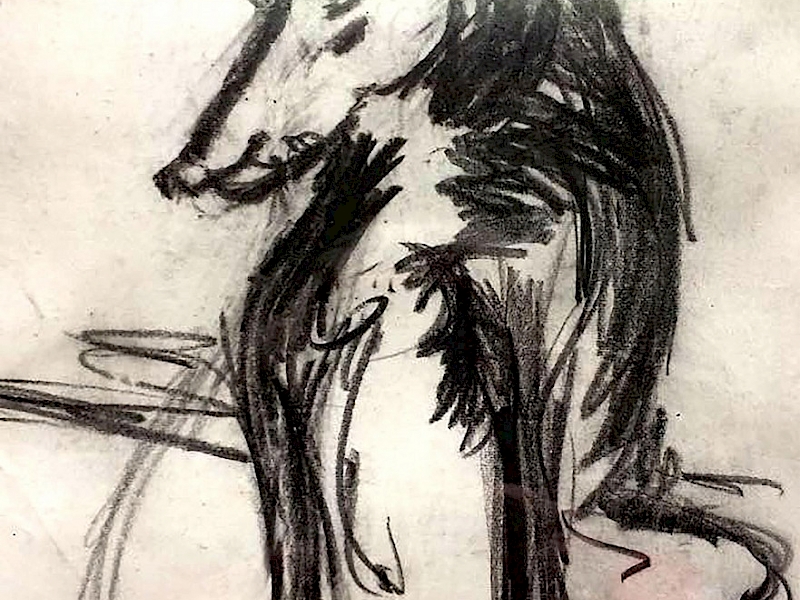 'Pension Plan' Drawings. Work of the Month, February 2018